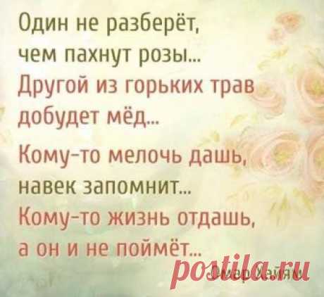 (12) Facebook