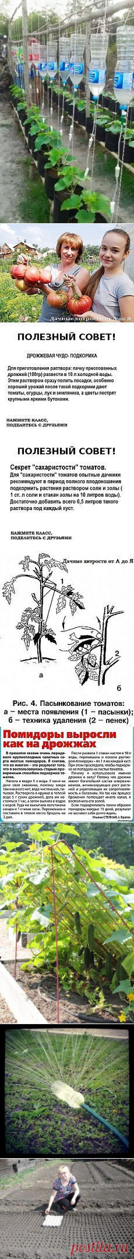(224) Pinterest • Всемирный каталог идей