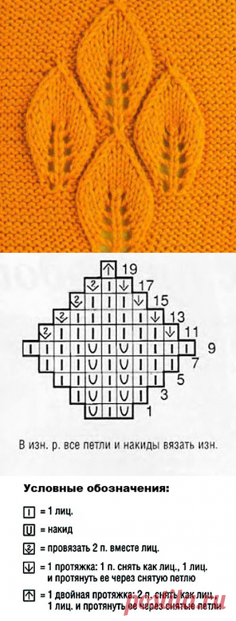 www.SHPULYA.com - Узор листья спицами 29