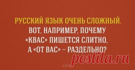 20 занимательных фактов о русском языке