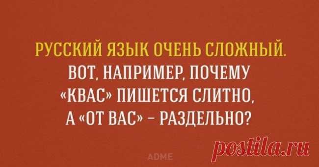 20 занимательных фактов о русском языке
