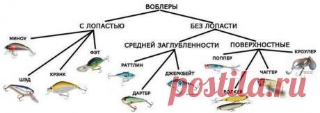 Выбор воблеров. 


Плавучесть: 
•F - Floating - плавающий воблер 
Показать полностью…