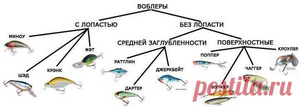 Выбор воблеров. 


Плавучесть: 
•F - Floating - плавающий воблер 
Показать полностью…