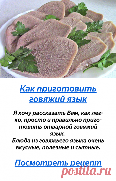 Подборка №10. Мясные блюда. 11 рецептов блюд с мясом и из мяса. | Легко приготовить! С Людмилой! | Яндекс Дзен