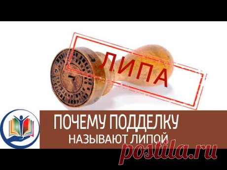 Почему подделку называют липой - YouTube