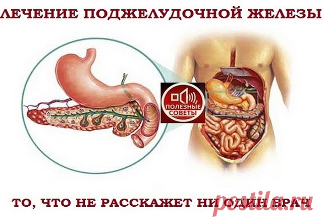(4) Одноклассники