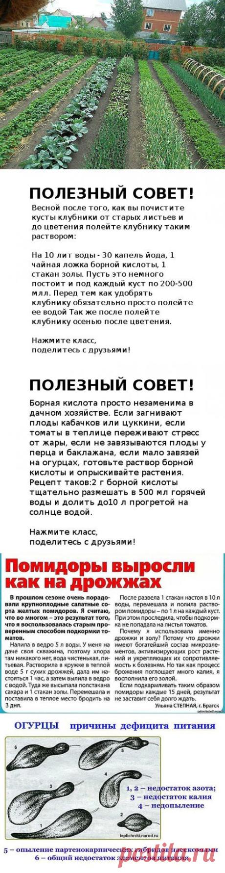 (99) Одноклассники