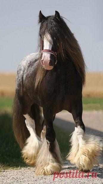 Интересные новости