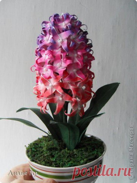 Вечноцветущий гиацинт. Оригами.