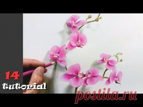 Как нарисовать цветы карандашом ПОЭТАПНО. Учимся рисовать цветными карандашами!