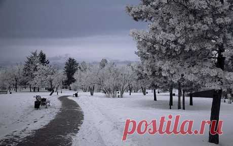 Одноклассники, г. Благовещенск на Амуре.