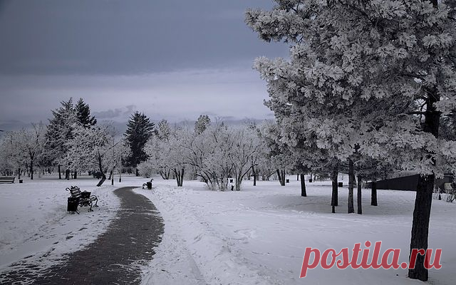 Одноклассники, г. Благовещенск на Амуре.