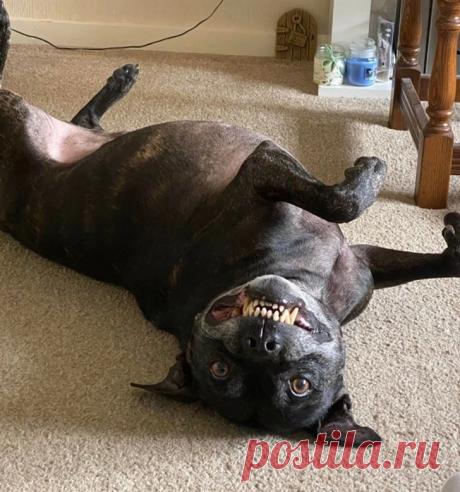 15 раз Мать-природу ловили со спущенными штанами