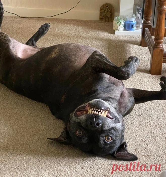 15 раз Мать-природу ловили со спущенными штанами