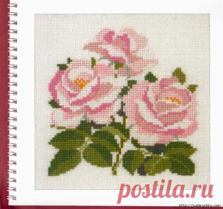 "Роза". Вышивка крестом.