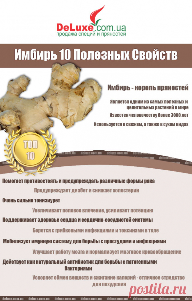 Лечебные свойства имбиря и противопоказания
Имбирь — это не только специя, наделяющая блюда неповторимым вкусом, но и очень полезный продукт. Благодаря своему лечебному эффекту, имбирь широко применяется не только в народной, но и традиционной медицине. Народная медицина — рецепты, советы, способы, cекреты и народные средства.