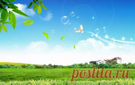 peaceful_life-widescreen_wallpapers.jpg (Изображение JPEG, 1920 × 1200 пикселов) - Масштабированное (64%)