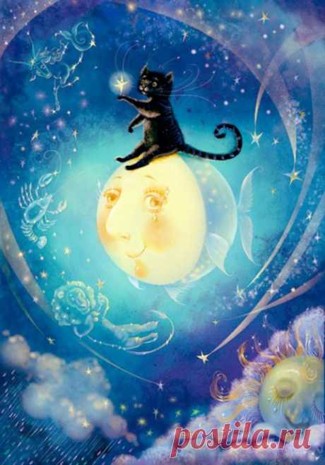 Нарисованные коты :: NoNaMe