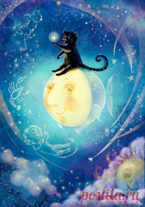 Нарисованные коты :: NoNaMe