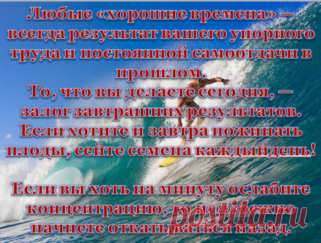 Мой бизнес: