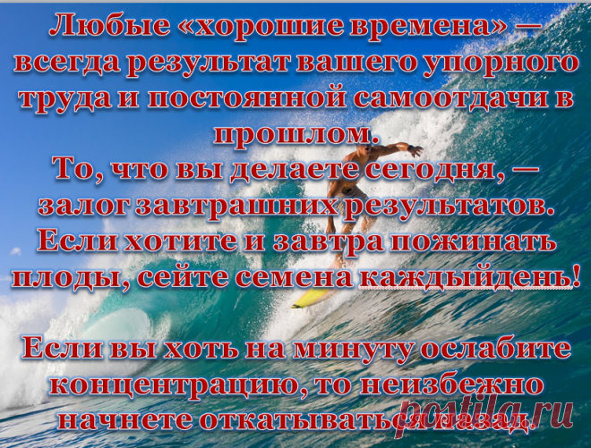 Мой бизнес:
