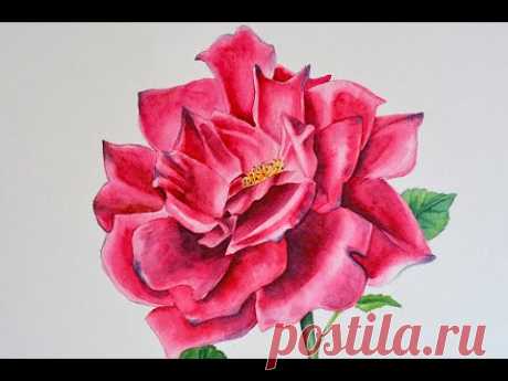 Как написать розу акварелью. Интерьерная картина акварелью.