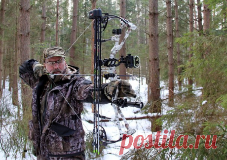 Охота с луком Первое отличие — это маленькая дистанция выстрела, в зависимости от навыков охотника — 30-40 метров. Причем сорок метров — это для лука уже далеко, и надо очень много тренироваться для точной стрельбы на это расстояние. Второе, выстрел из заряженной винтовки или ружья можно произвести в любой момент, как только дичь будет обнаружена, время вскидки и прицеливания меньше секунды, и его можно уменьшать тренировками Лук же требует больше времени: определить расстояние до цели,…