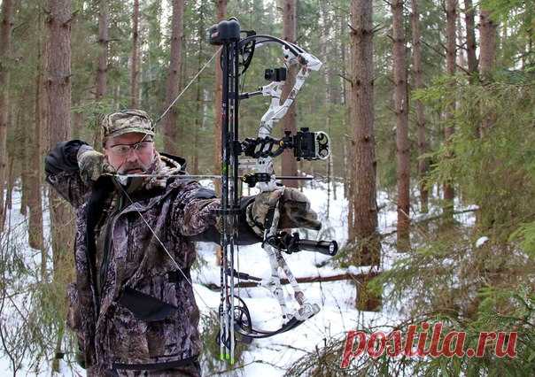 Охота с луком Первое отличие — это маленькая дистанция выстрела, в зависимости от навыков охотника — 30-40 метров. Причем сорок метров — это для лука уже далеко, и надо очень много тренироваться для точной стрельбы на это расстояние. Второе, выстрел из заряженной винтовки или ружья можно произвести в любой момент, как только дичь будет обнаружена, время вскидки и прицеливания меньше секунды, и его можно уменьшать тренировками Лук же требует больше времени: определить расстояние до цели,…