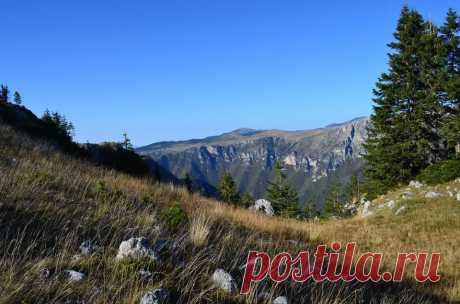 (10) Facebook