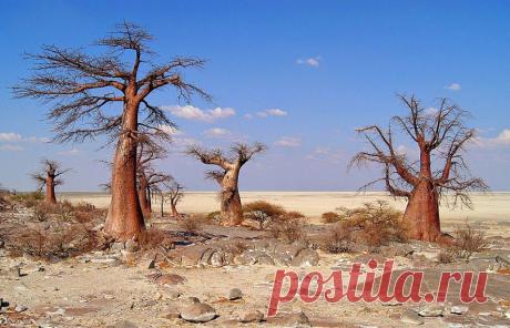 Google+