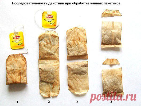 Удобный способ выращивания рассады! |