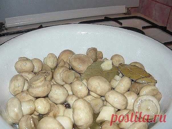 Маринуйте грибы сами | OK.RU