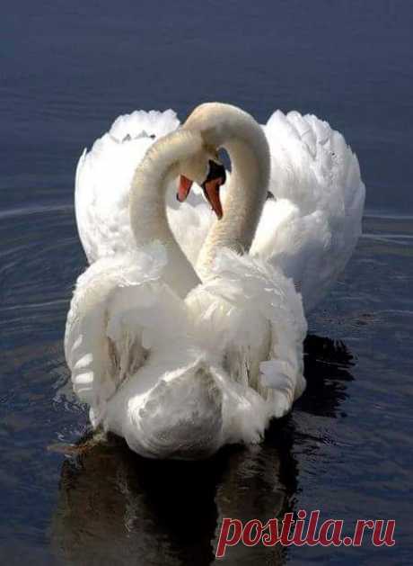 Fatma Elzhraa – Google+