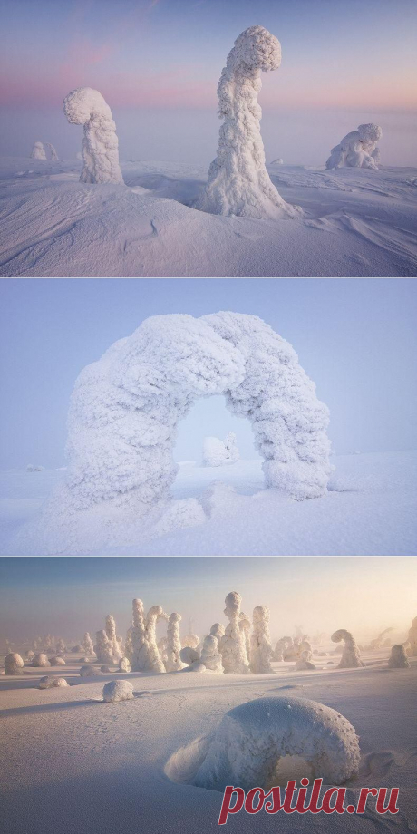 Снежные скульптуры.