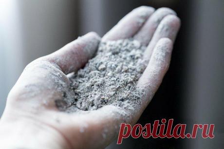 Августовские подкормки для огородных и садовых культур
С наступлением августа работы у дачников меньше не становится. Им предстоит собрать...
Читай пост далее на сайте. Жми ⏫ссылку выше