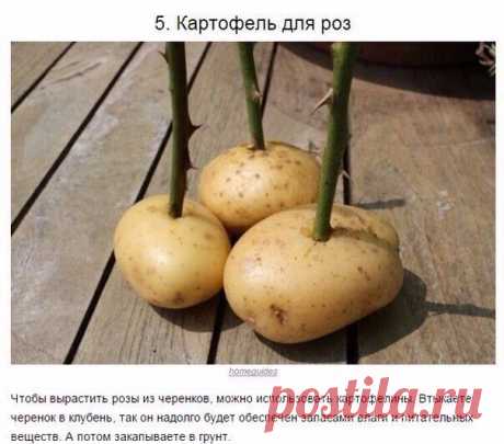 Флай Леди. Взлетаем вместе.