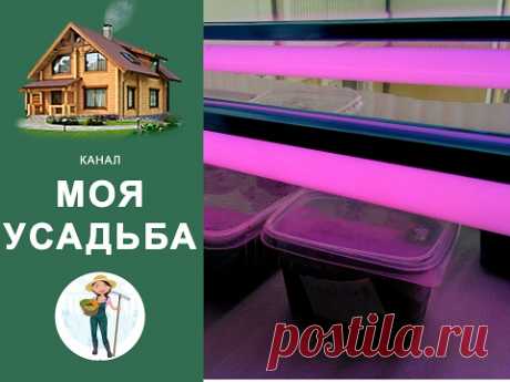 ФИТОЛАМПА ДЛЯ РАССАДЫ: КОНСТРУКЦИЯ СВОИМИ РУКАМИ