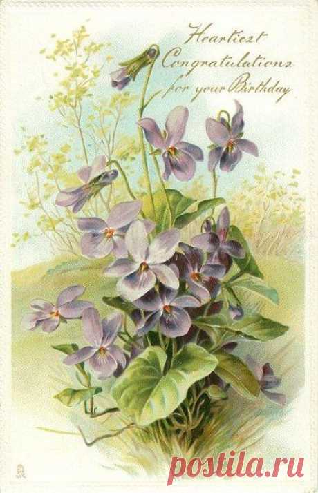 Елена Хеленка