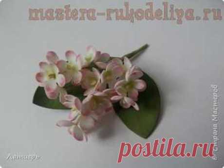 Мастер-класс по цветам из фоамирана: Миниатюрные цветы