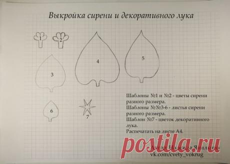 Немного выкроек в ваши копилочки

Больше цветов в альбоме: https://vk.com/album-85777268_220898356

 Материалы для ваших цветочков здесь  https://vk.com/page-85777268_51981533