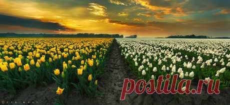 Школа фотографии. Для начинающего фотографа и не только... Ссылки.