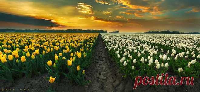 Школа фотографии. Для начинающего фотографа и не только... Ссылки.