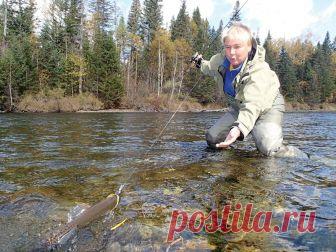 Рок-н-ролл на Бикине  
 
Тот сентябрь выдался просто шикарным. Месяц я путешествовала по бескрайним просторам Дальнего Востока. С начала маревая река Климка испытала меня на прочность, затем изрядно потрепало штормовое оз…