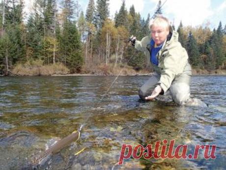 Рок-н-ролл на Бикине  
 
Тот сентябрь выдался просто шикарным. Месяц я путешествовала по бескрайним просторам Дальнего Востока. С начала маревая река Климка испытала меня на прочность, затем изрядно потрепало штормовое оз…