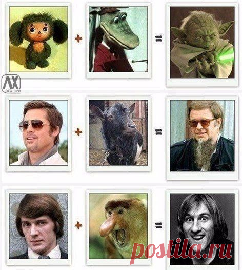 Совпадение? Не думаю. / Взлом логики