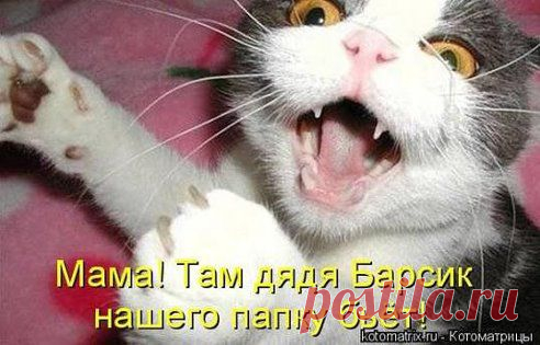 (1) Одноклассники