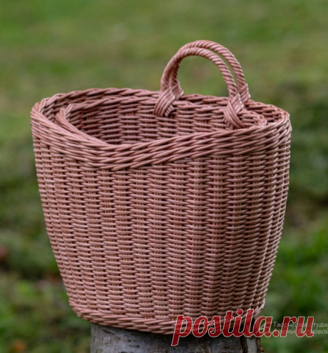 Прасковья Жилина