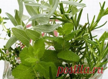 Народная методика лечения псориаза