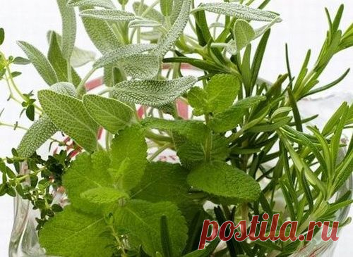 Народная методика лечения псориаза