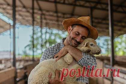 Более 200 посетителей фермы покормили животных и заразились от них паразитами